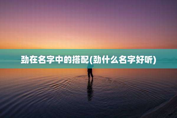 劲在名字中的搭配(劲什么名字好听)
