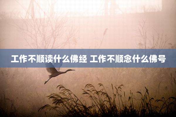 工作不顺读什么佛经 工作不顺念什么佛号
