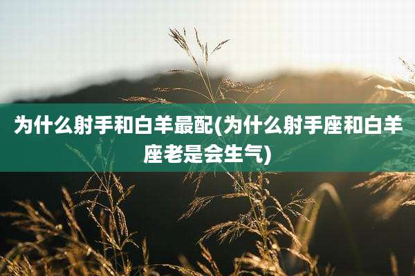 为什么射手和白羊最配(为什么射手座和白羊座老是会生气)