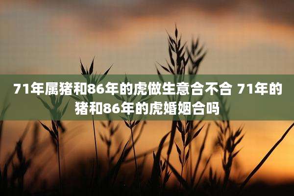 71年属猪和86年的虎做生意合不合 71年的猪和86年的虎婚姻合吗