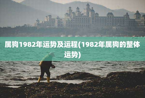 属狗1982年运势及运程(1982年属狗的整体运势)