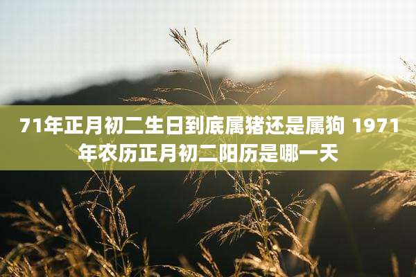 71年正月初二生日到底属猪还是属狗 1971年农历正月初二阳历是哪一天