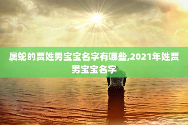 属蛇的贾姓男宝宝名字有哪些,2021年姓贾男宝宝名字