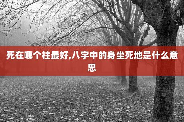 死在哪个柱最好,八字中的身坐死地是什么意思