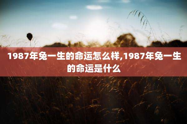 1987年兔一生的命运怎么样,1987年兔一生的命运是什么