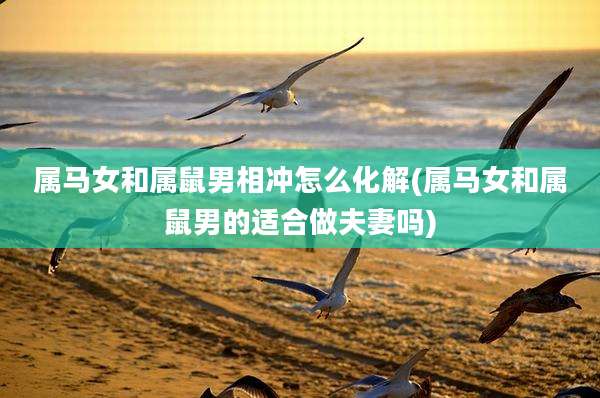 属马女和属鼠男相冲怎么化解(属马女和属鼠男的适合做夫妻吗)