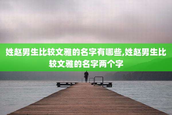 姓赵男生比较文雅的名字有哪些,姓赵男生比较文雅的名字两个字