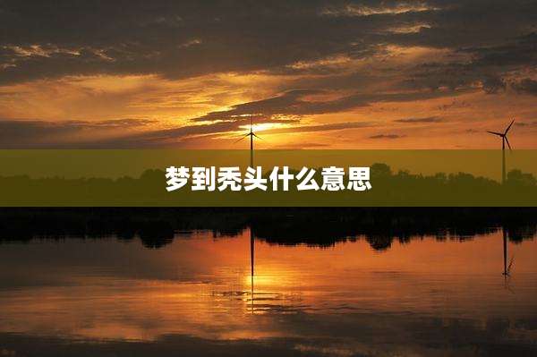 梦到秃头什么意思