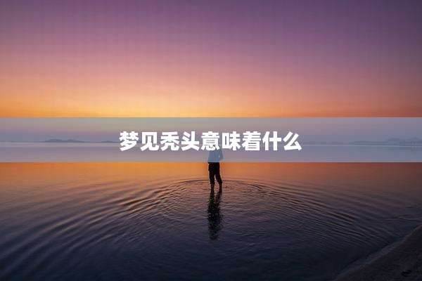 梦见秃头意味着什么