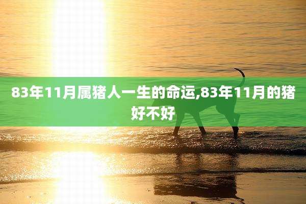 83年11月属猪人一生的命运,83年11月的猪好不好