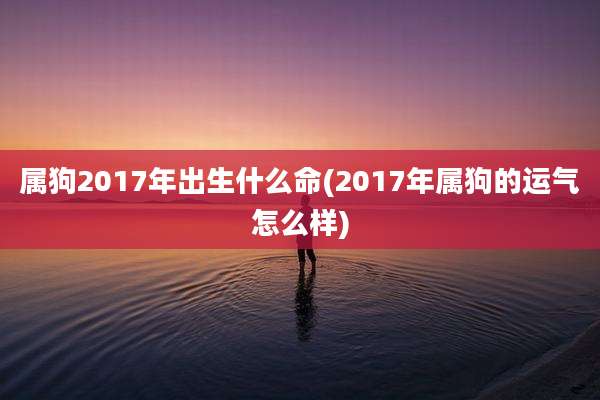 属狗2017年出生什么命(2017年属狗的运气怎么样)