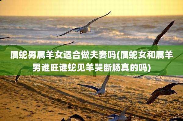 属蛇男属羊女适合做夫妻吗(属蛇女和属羊男谁旺谁蛇见羊哭断肠真的吗)