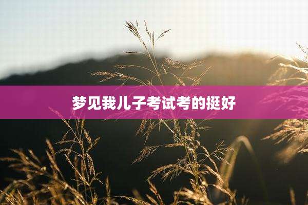 梦见我儿子考试考的挺好