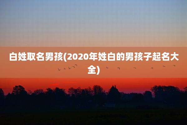 白姓取名男孩(2020年姓白的男孩子起名大全)