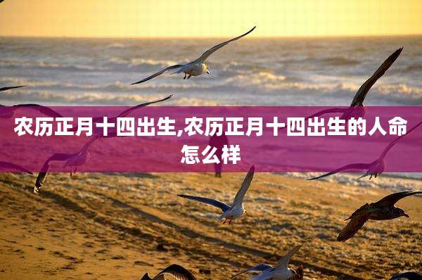 农历正月十四出生,农历正月十四出生的人命怎么样