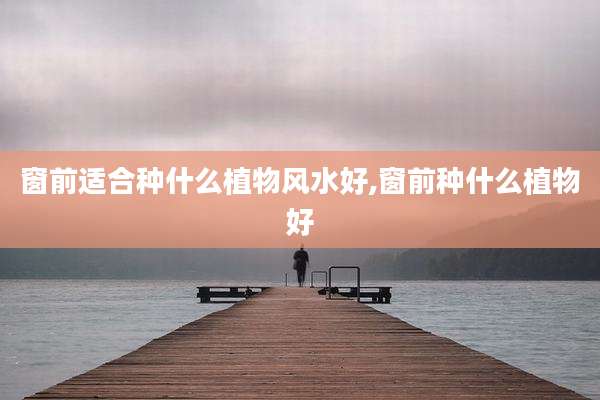 窗前适合种什么植物风水好,窗前种什么植物好