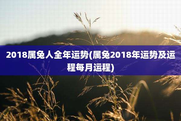 2018属兔人全年运势(属兔2018年运势及运程每月运程)