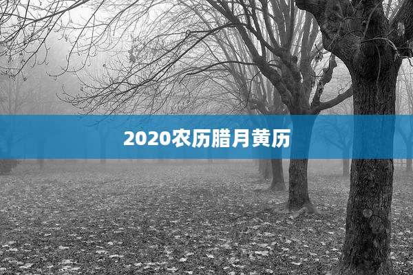 2020农历腊月黄历