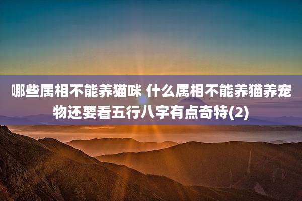 哪些属相不能养猫咪 什么属相不能养猫养宠物还要看五行八字有点奇特(2)