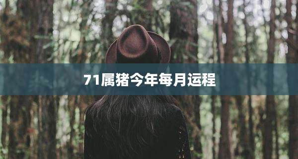 71属猪今年每月运程
