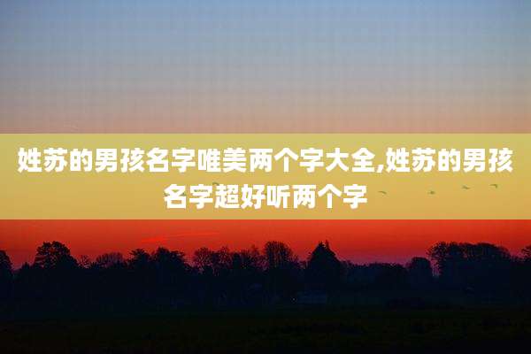 姓苏的男孩名字唯美两个字大全,姓苏的男孩名字超好听两个字