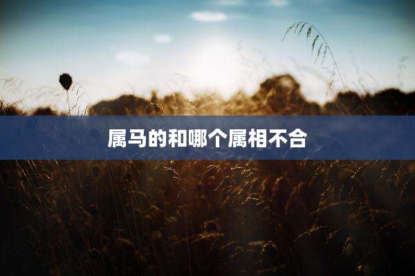 属马的和哪个属相不合