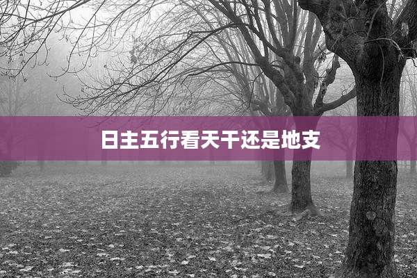 日主五行看天干还是地支