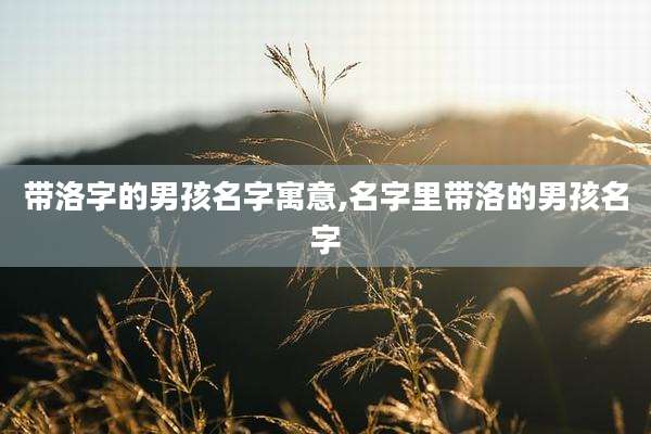 带洛字的男孩名字寓意,名字里带洛的男孩名字