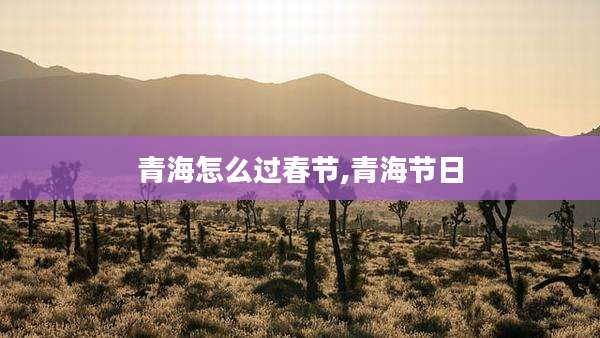 青海怎么过春节,青海节日