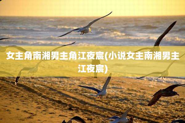 女主角南湘男主角江夜宸(小说女主南湘男主江夜宸)