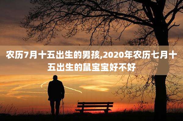 农历7月十五出生的男孩,2020年农历七月十五出生的鼠宝宝好不好