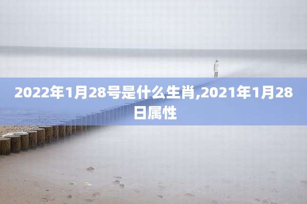 2022年1月28号是什么生肖,2021年1月28日属性