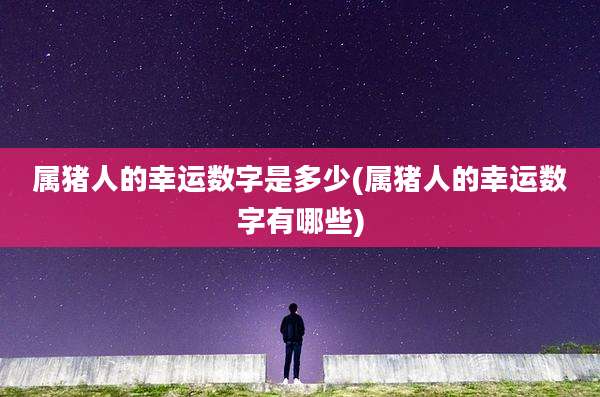 属猪人的幸运数字是多少(属猪人的幸运数字有哪些)