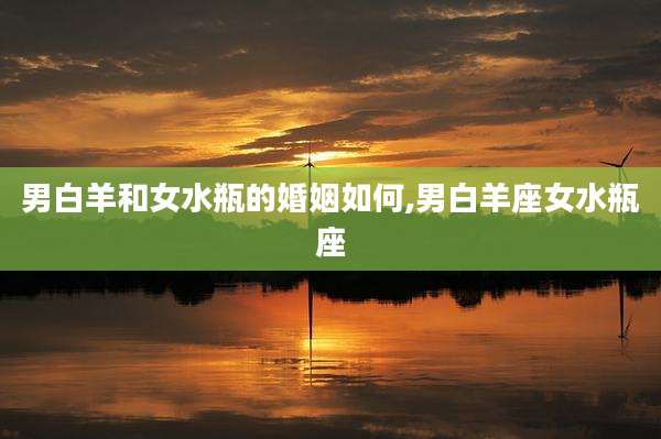 男白羊和女水瓶的婚姻如何,男白羊座女水瓶座