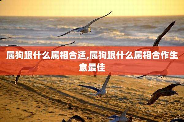 属狗跟什么属相合适,属狗跟什么属相合作生意最佳