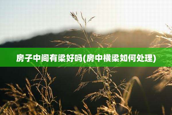 房子中间有梁好吗(房中横梁如何处理)