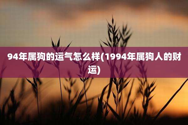 94年属狗的运气怎么样(1994年属狗人的财运)