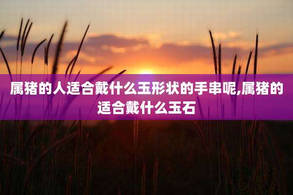 属猪的人适合戴什么玉形状的手串呢,属猪的适合戴什么玉石