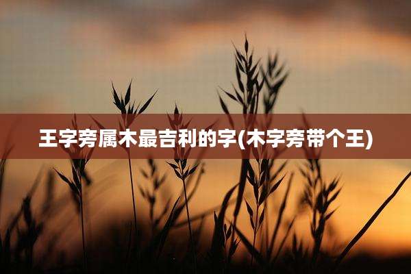 王字旁属木最吉利的字(木字旁带个王)
