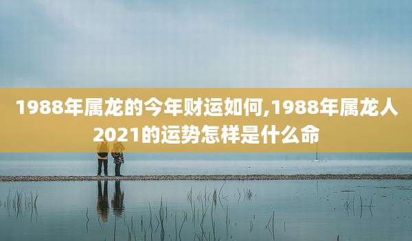 1988年属龙的今年财运如何,1988年属龙人2021的运势怎样是什么命