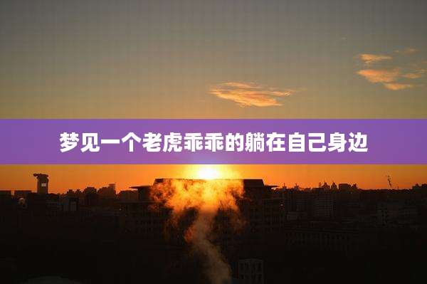 梦见一个老虎乖乖的躺在自己身边