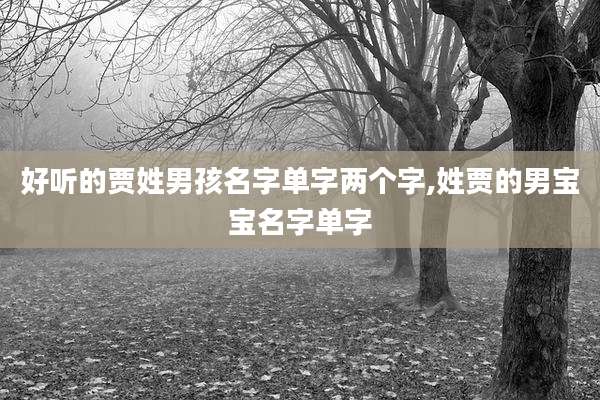 好听的贾姓男孩名字单字两个字,姓贾的男宝宝名字单字