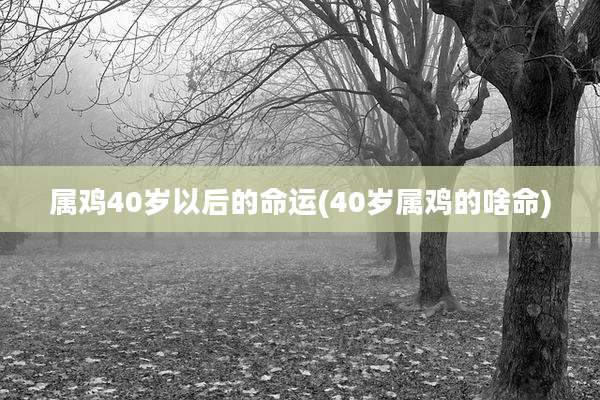 属鸡40岁以后的命运(40岁属鸡的啥命)