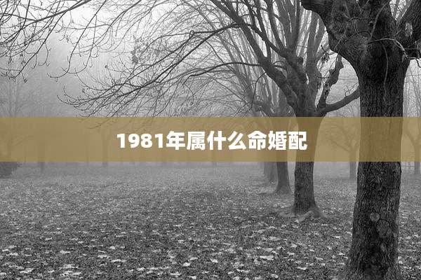 1981年属什么命婚配