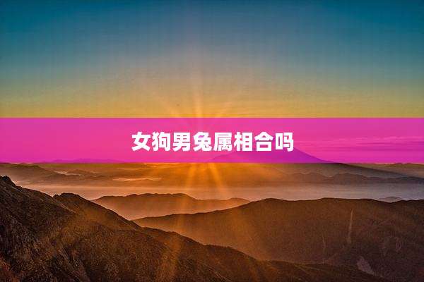 女狗男兔属相合吗