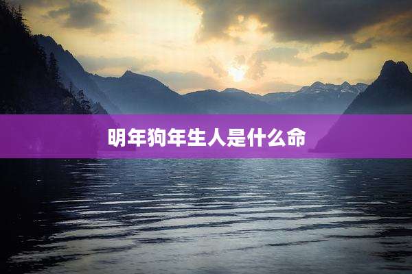 明年狗年生人是什么命