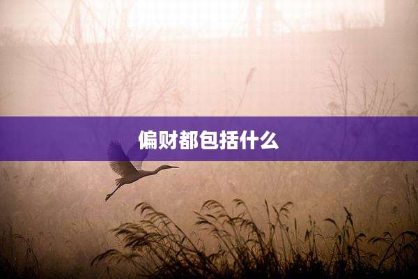 偏财都包括什么