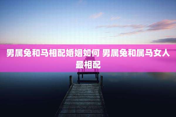 男属兔和马相配婚姻如何 男属兔和属马女人最相配