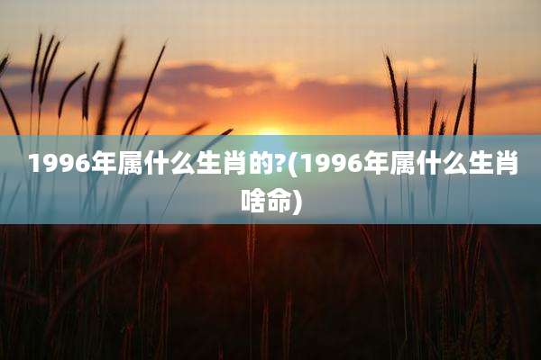 1996年属什么生肖的?(1996年属什么生肖啥命)