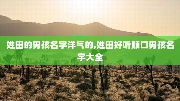 姓田的男孩名字洋气的,姓田好听顺口男孩名字大全